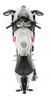 Aprilia RSV4 2011